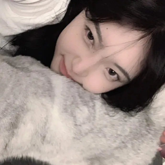 云深不知梦