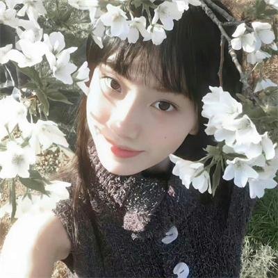 夜晚开的花